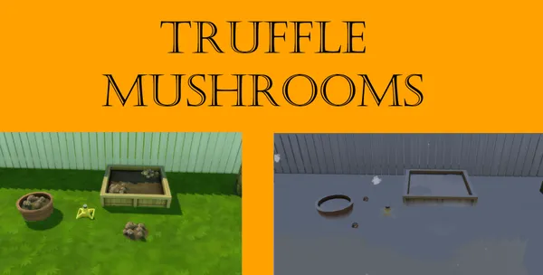 Truffle Mushroom Harvestable